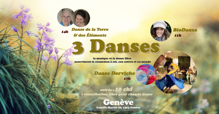 3 DANSES FB1 768x400